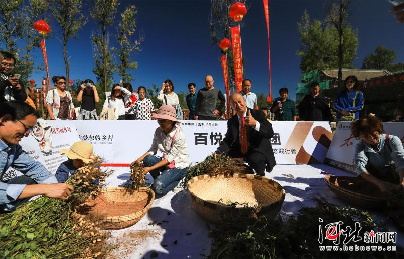 祝贺！恋乡·太行水镇再创大世界基尼斯纪录